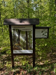 Infotafel zum Lebensraum Wald