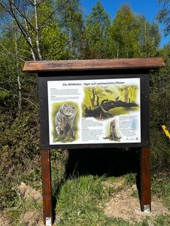 Neue Infotafel über die Wildkatze am Naturlehrpfad