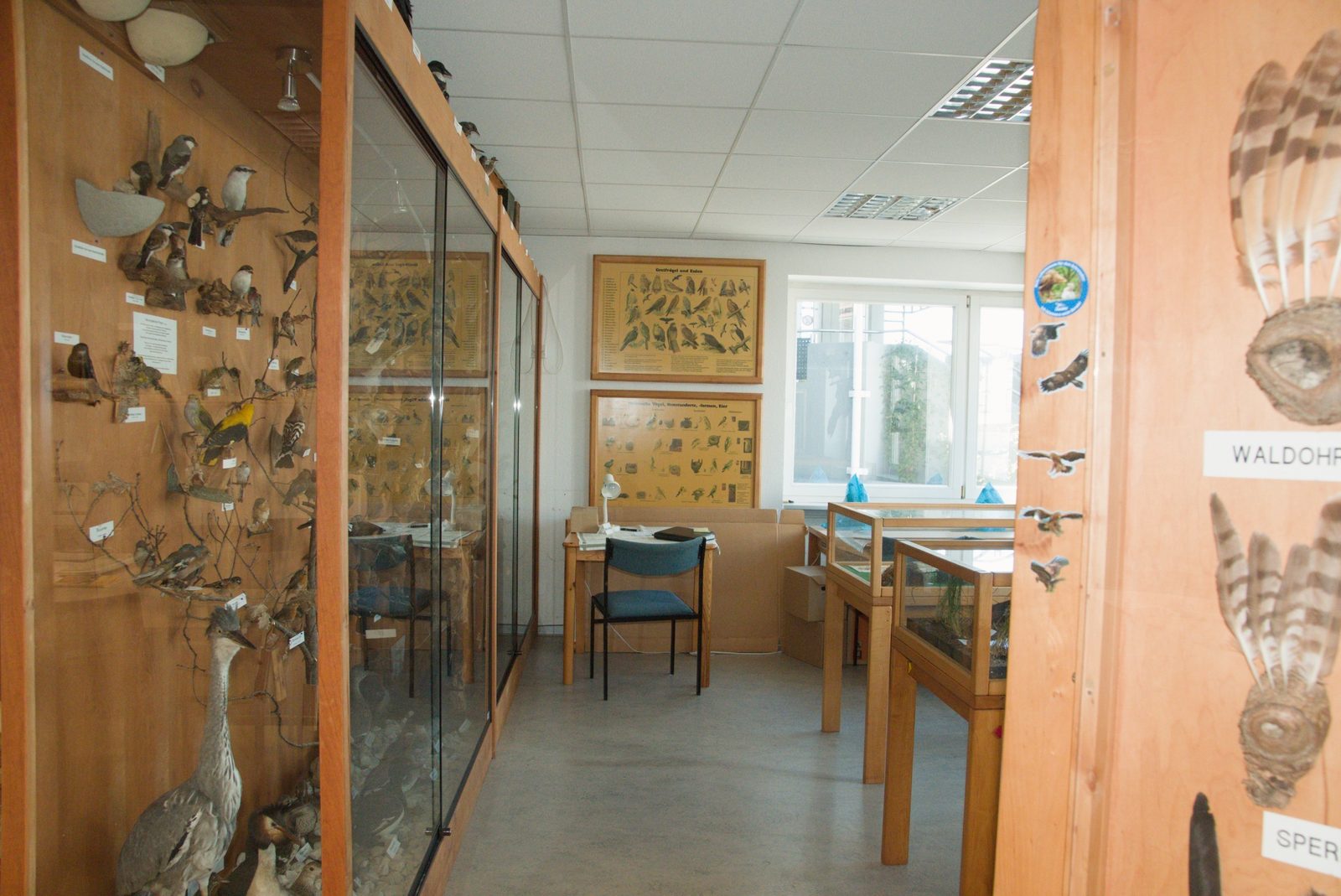 NABU-Ausstellungsraum in Breidenbach