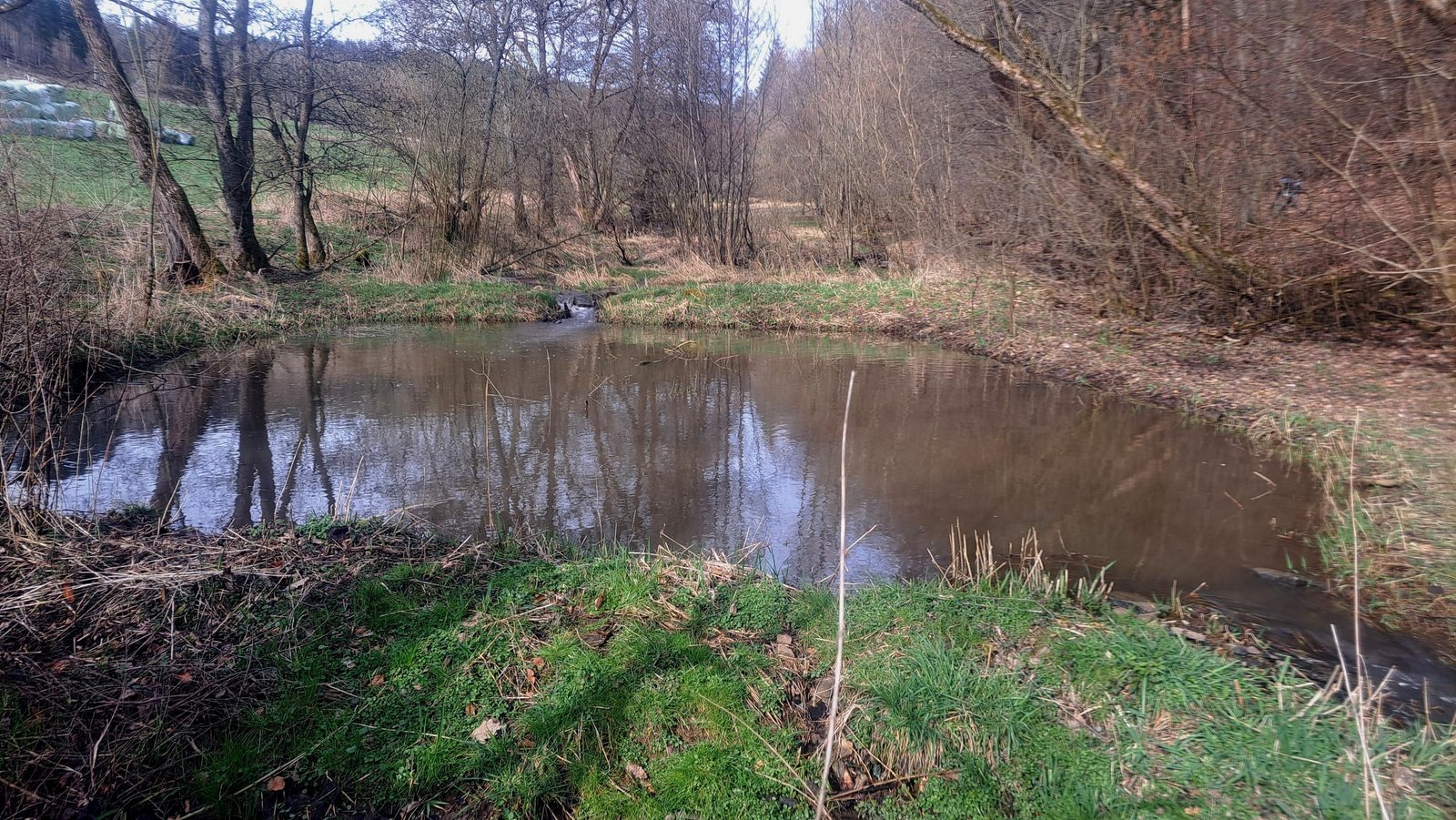 Teichbiotop der NABU-Gruppe im Bereich Wallstadt
