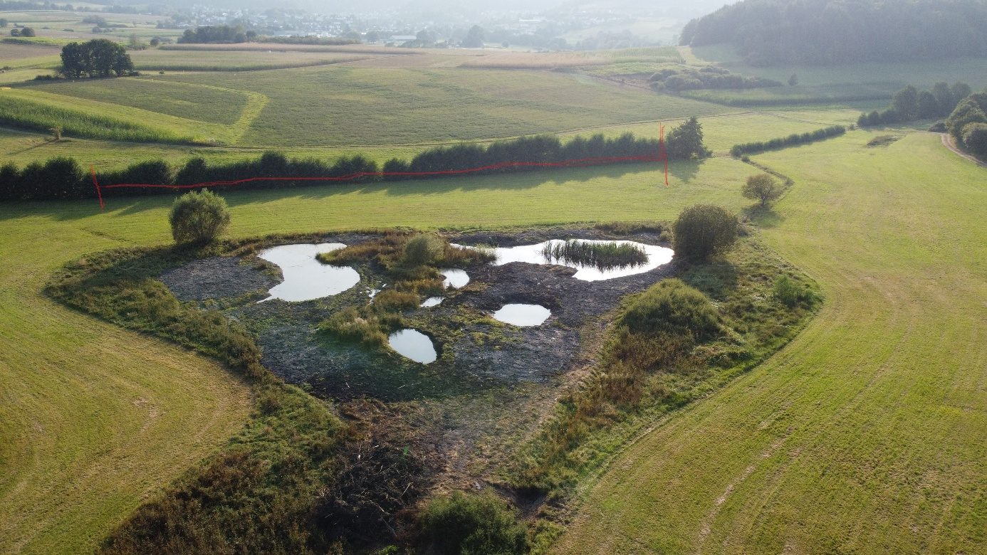 Feuchtgebiet Frohnwiese aus der Luft