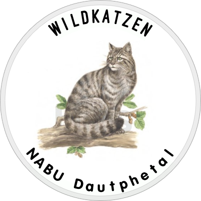 Logo der Kindergruppe Wildkatzen