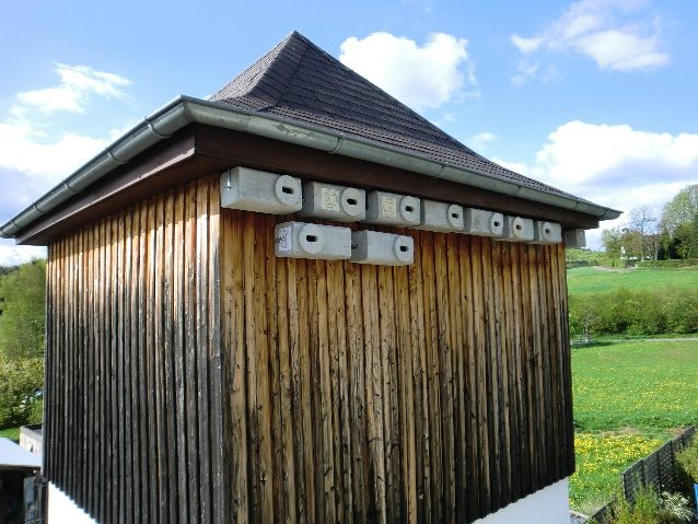 Umgebaute Trafostation mit Mauerseglerkästen