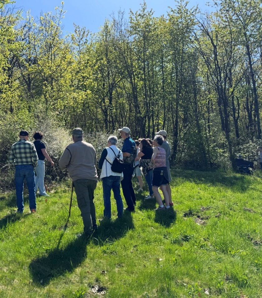 Gruppe bei der Kräuterwanderung über Wiesen und durch den Wald