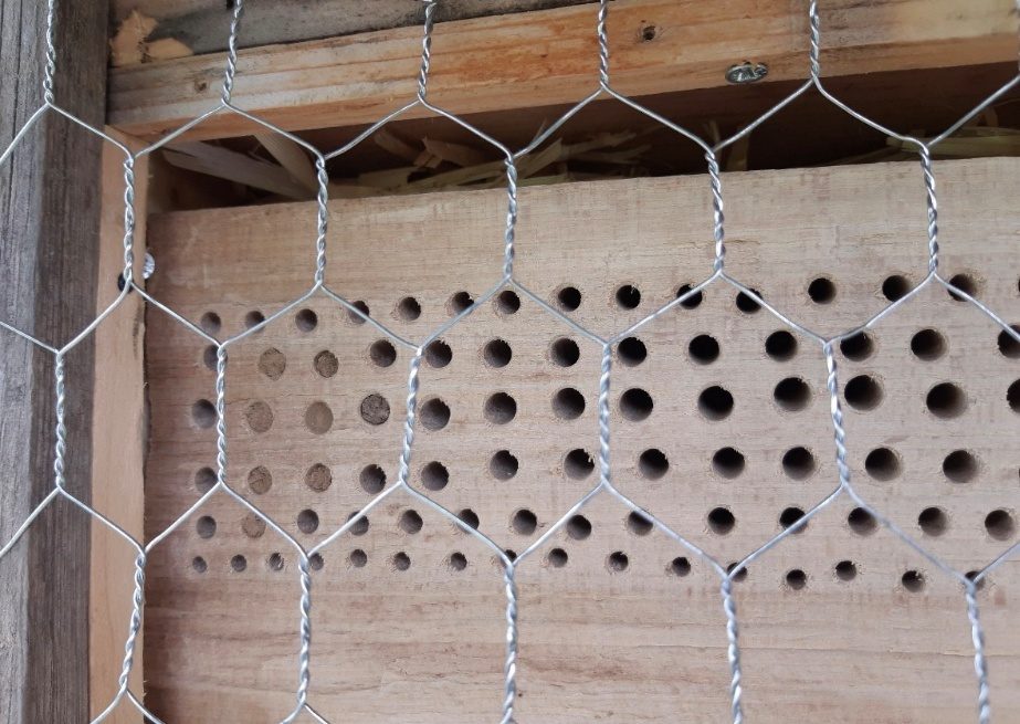 Nisthilfe für Wildbienen