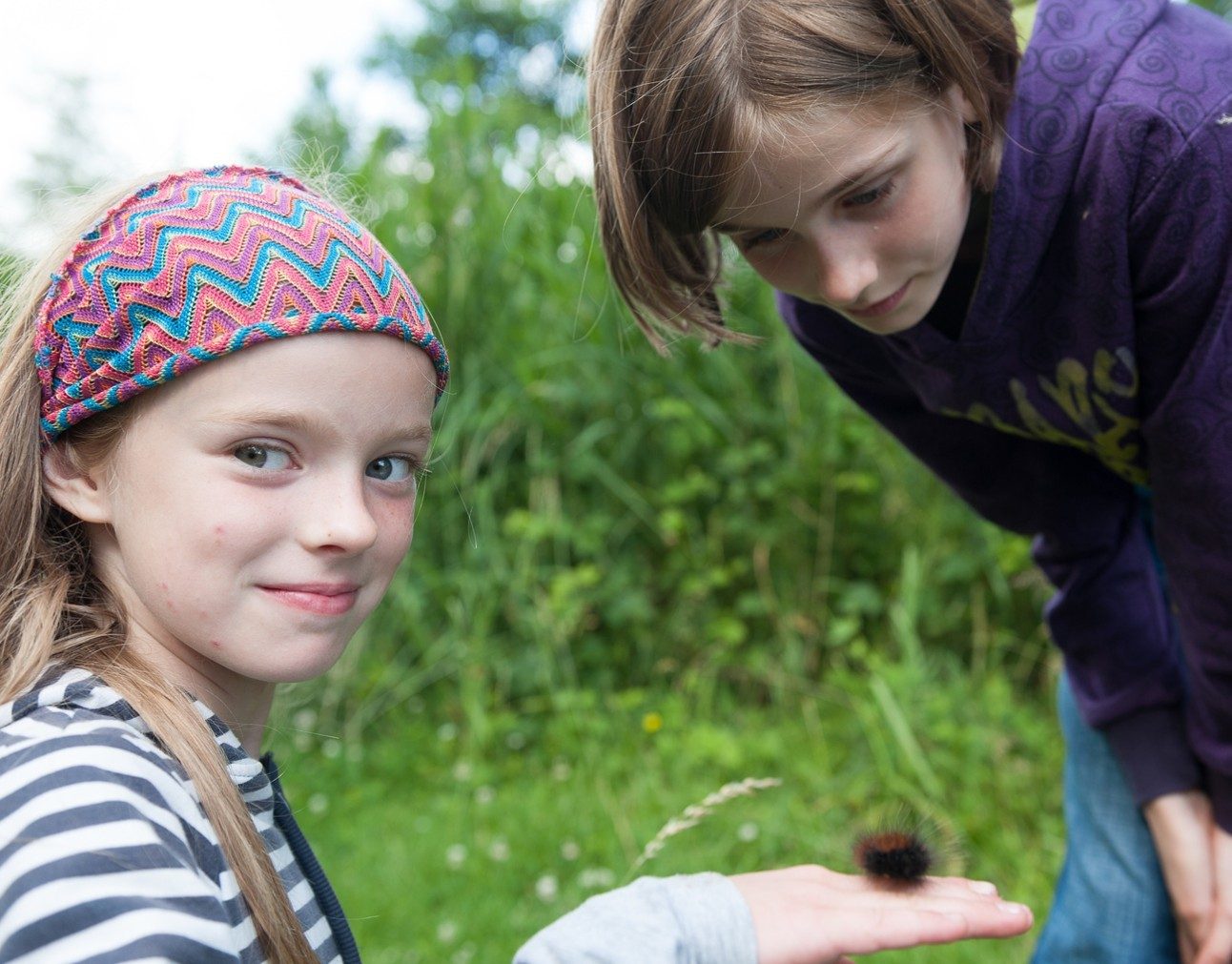 Kinder der Naturforschergruppe beim Entdecken