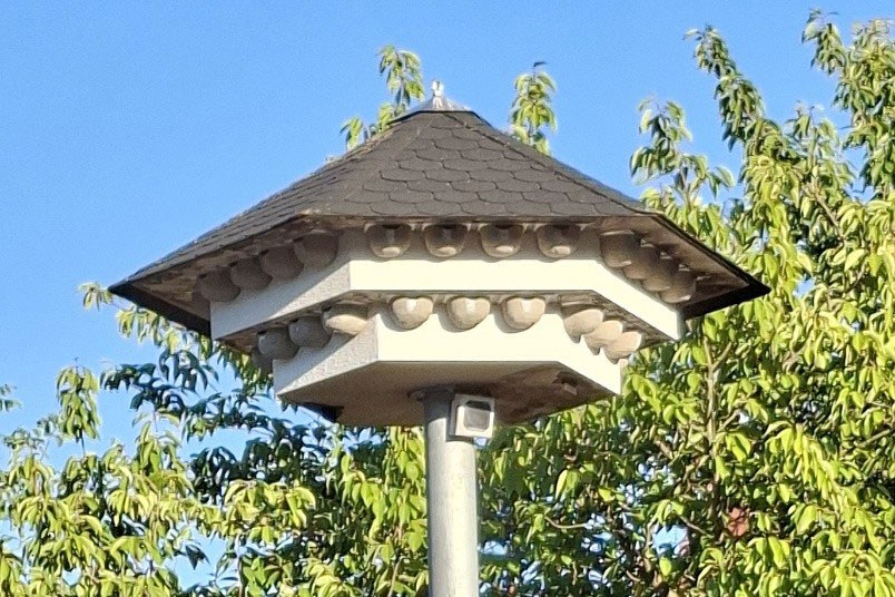 Schwalbenhotel auf der Wiese