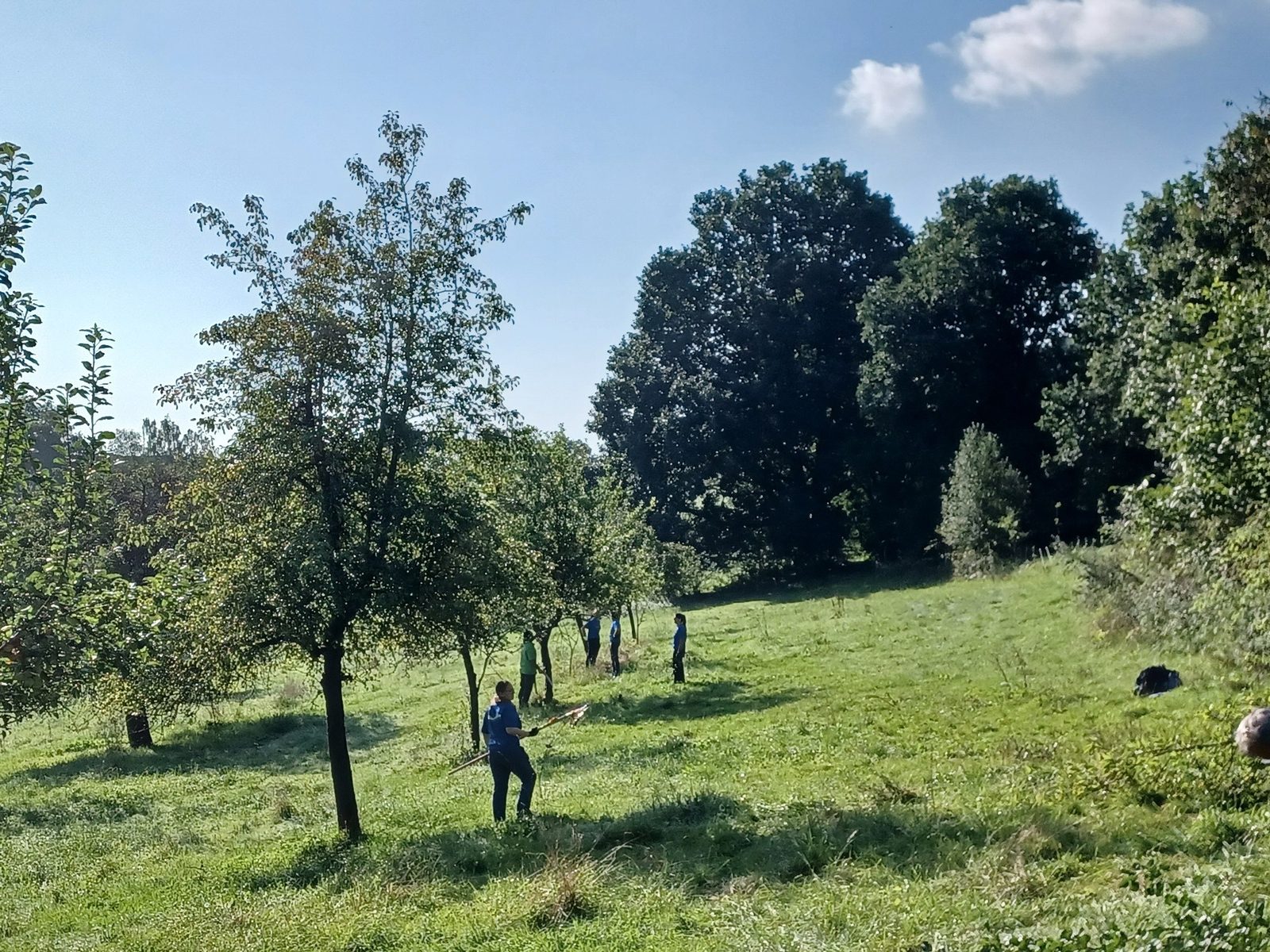 Pflegeeinsatz auf der Streuobstwiese