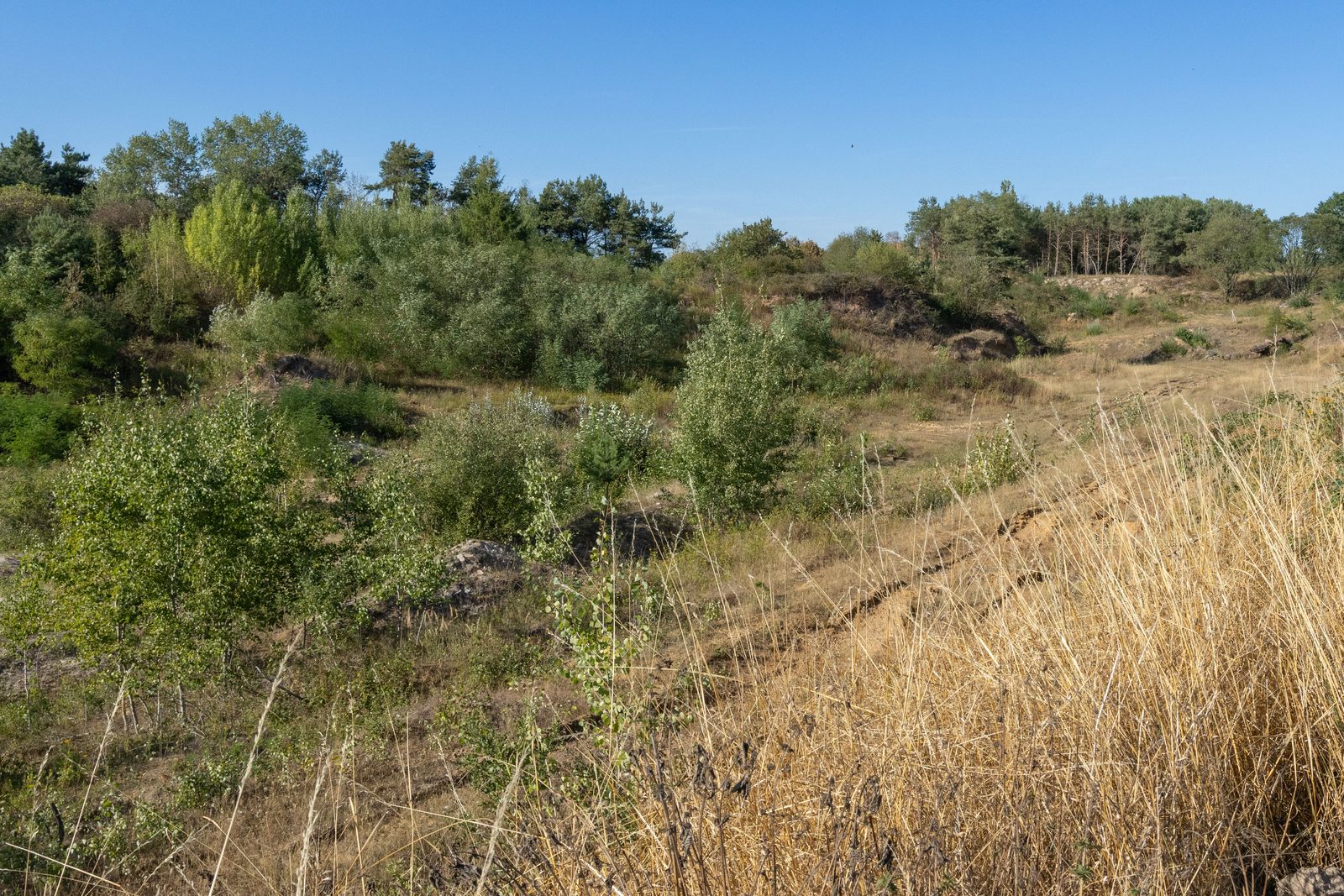 Schweinsberger Moor