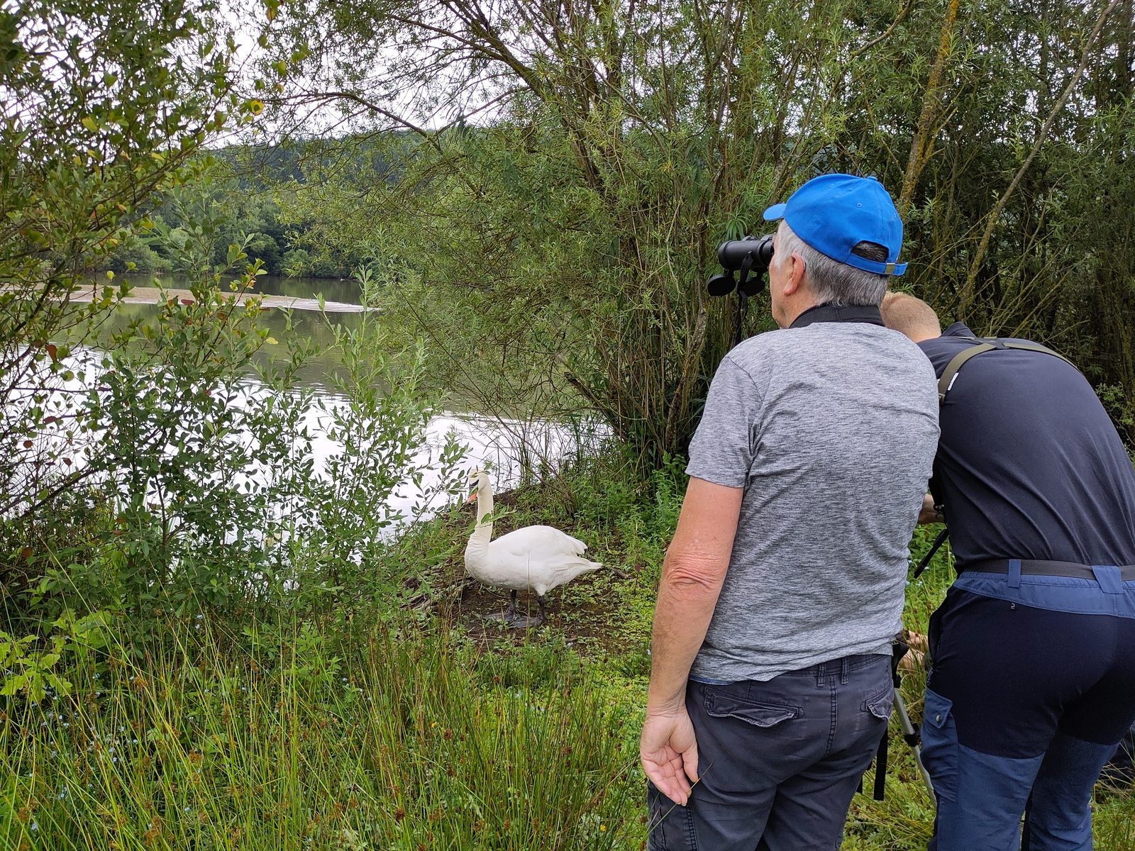 Vogelbeobachtung an den Kiesteichbiotopen Goßfelden