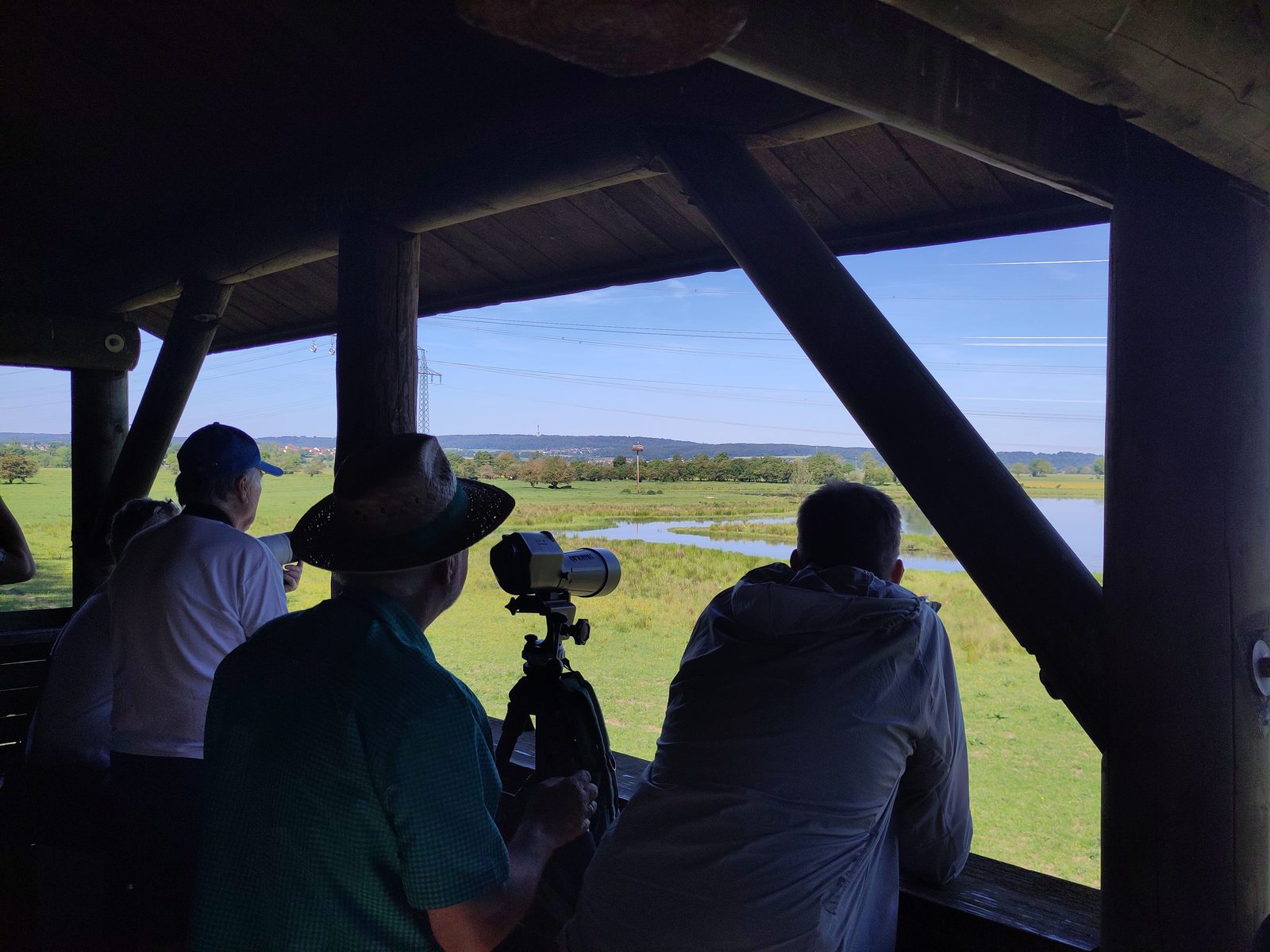 Blick aus der Beobachtungshütte auf die Radenhäuser Lache